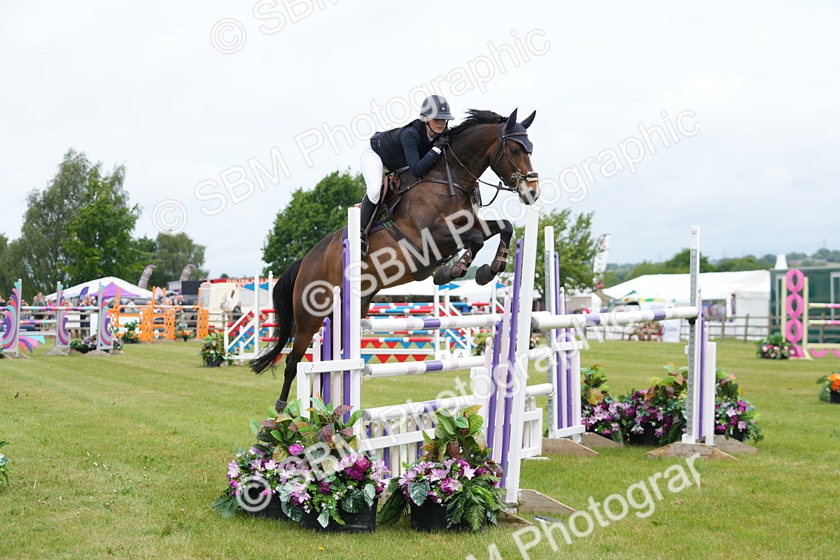 SBM_03051 - Class 201 - British Horse Feeds Speedi Beet Horse of the Year Show Grade  C