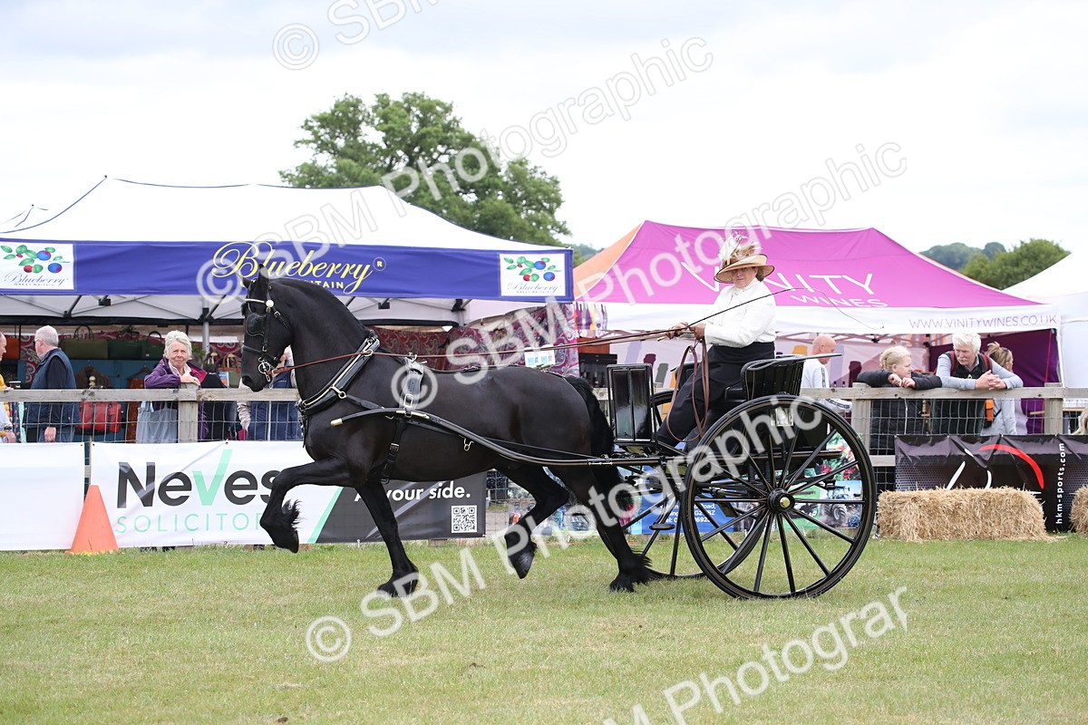SBM_05762 - Class 12-15 - HOYS Private Driving