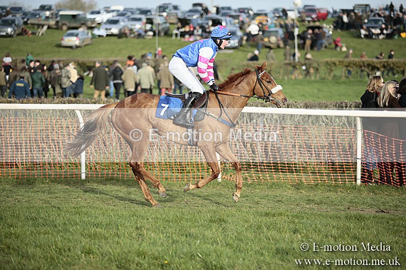 PtP 230319 500 - VWH Hunt Siddington Point-to-Point Racing 23/03/19
