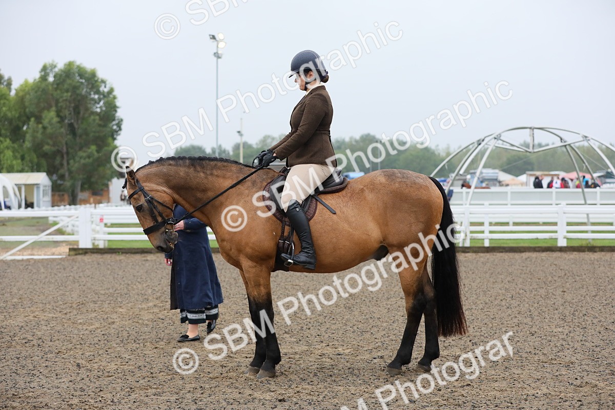 SBM_19906 - Class 801 - Ridden Veteran