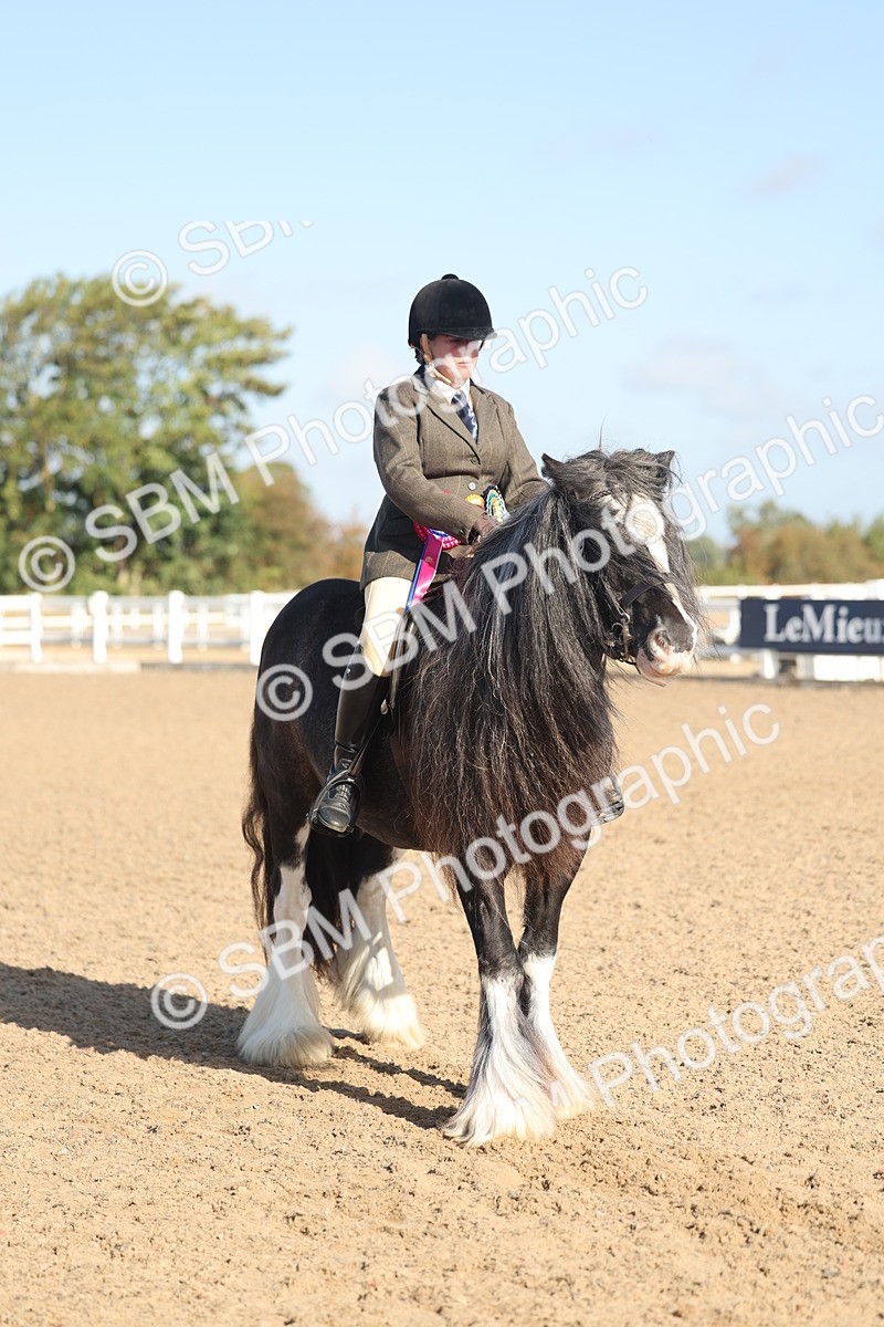 SBM_22250 - Class 802 - Ridden Groom Helpers Class