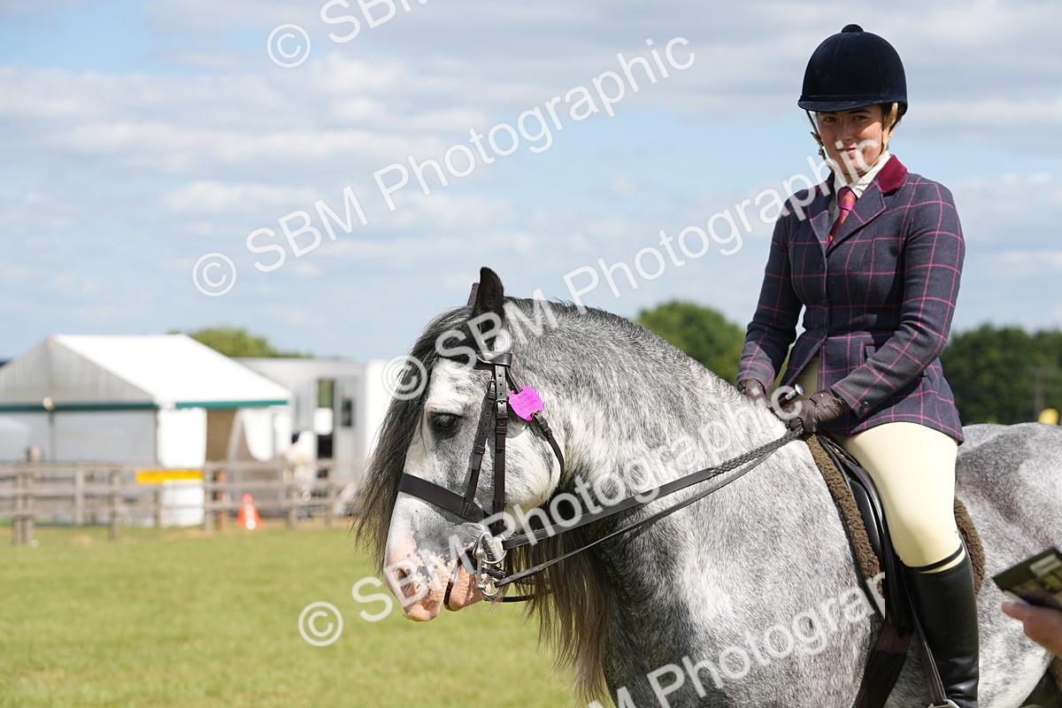 SBM_17299 - Class 107-108 - LIHS BSPS Performance Coloured Horse Pony