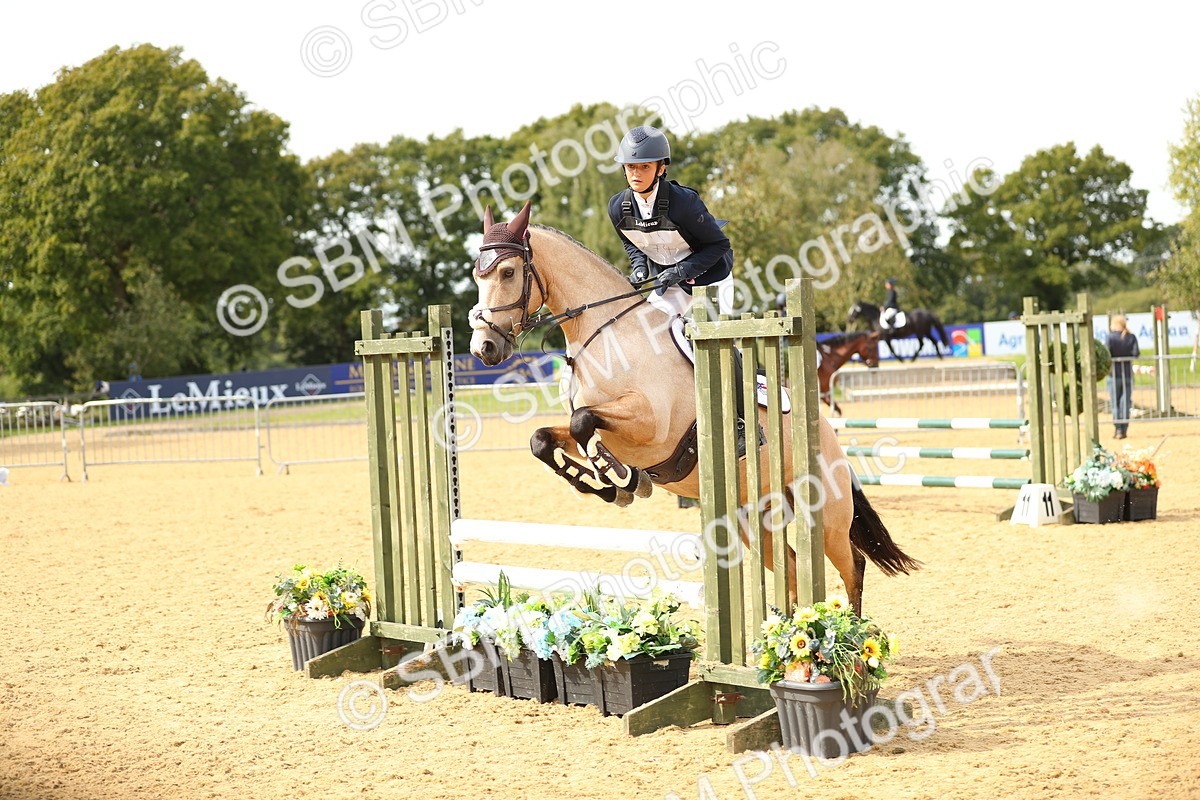 SBM_67228 - J17 - Junior Pony 80cm Championship