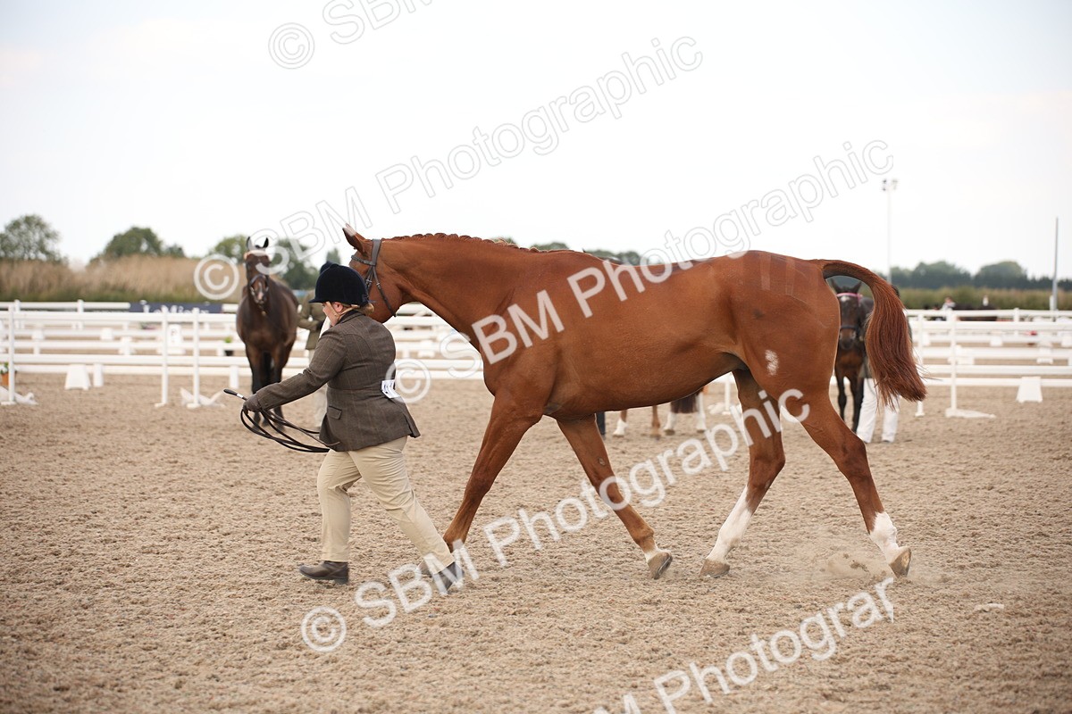 SBM_08227 - Class 27 - IH Competition Horse-Pony