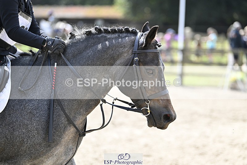 240823X-121300-16426 - 60cm R2 11.00 to 12.30