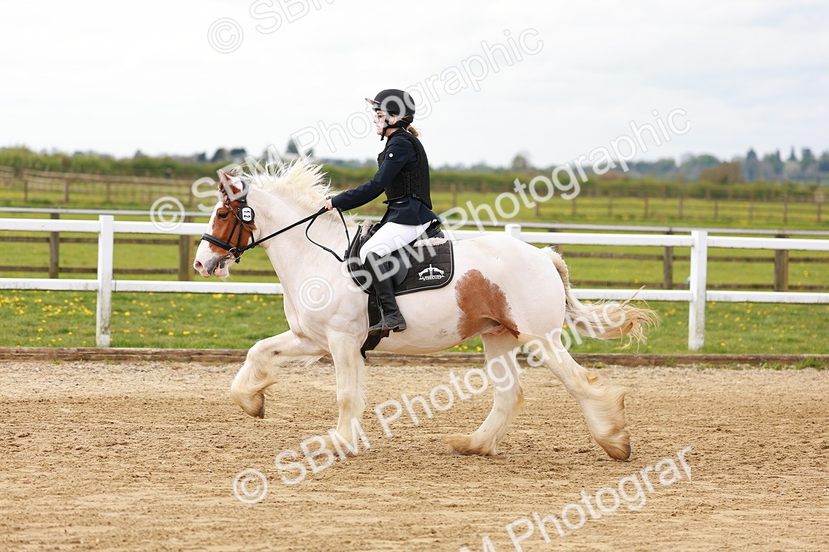 SBM_004086 - Class 3 - 60cm