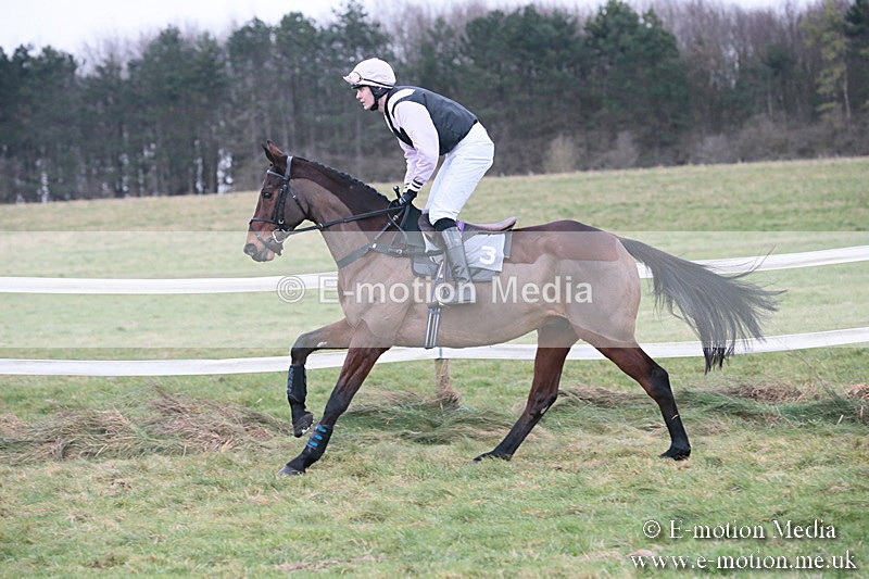 PtP 230119 301 - Royal Artillery Point-to-Point  - Larkhill  - 26/01/19