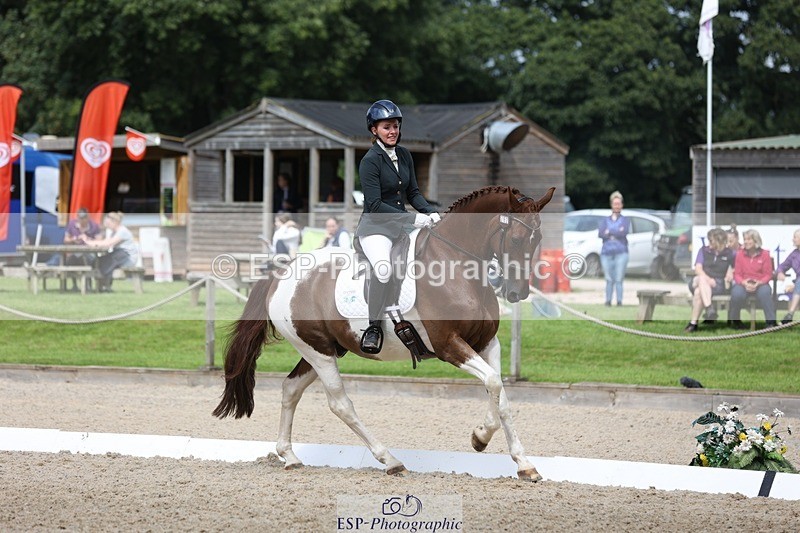 230812-121506-03971 - Cls 5 Novice Bronze 11.15 to 12.50 break