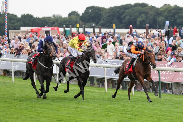 yr19082021r2-19 - Race 2 2.25pm Goffs UK Premier Yearling Stakes