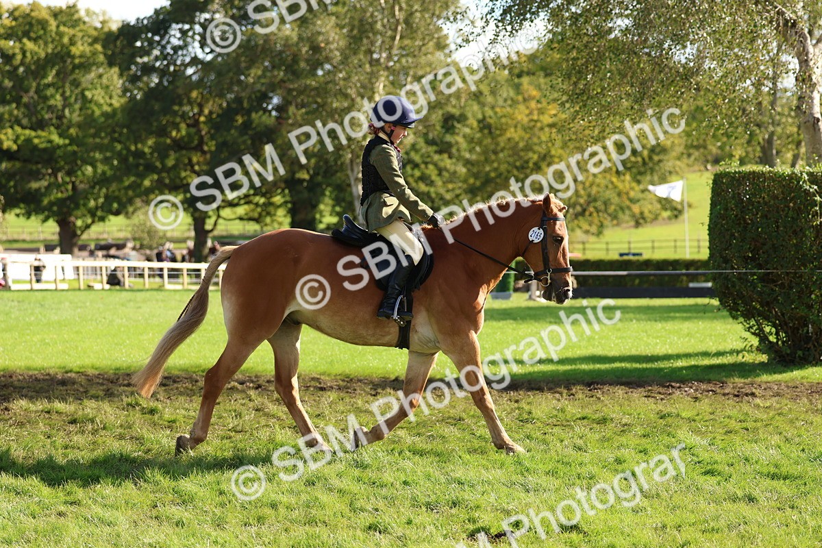 SBM_52374 - S13 - Pony Club Pony
