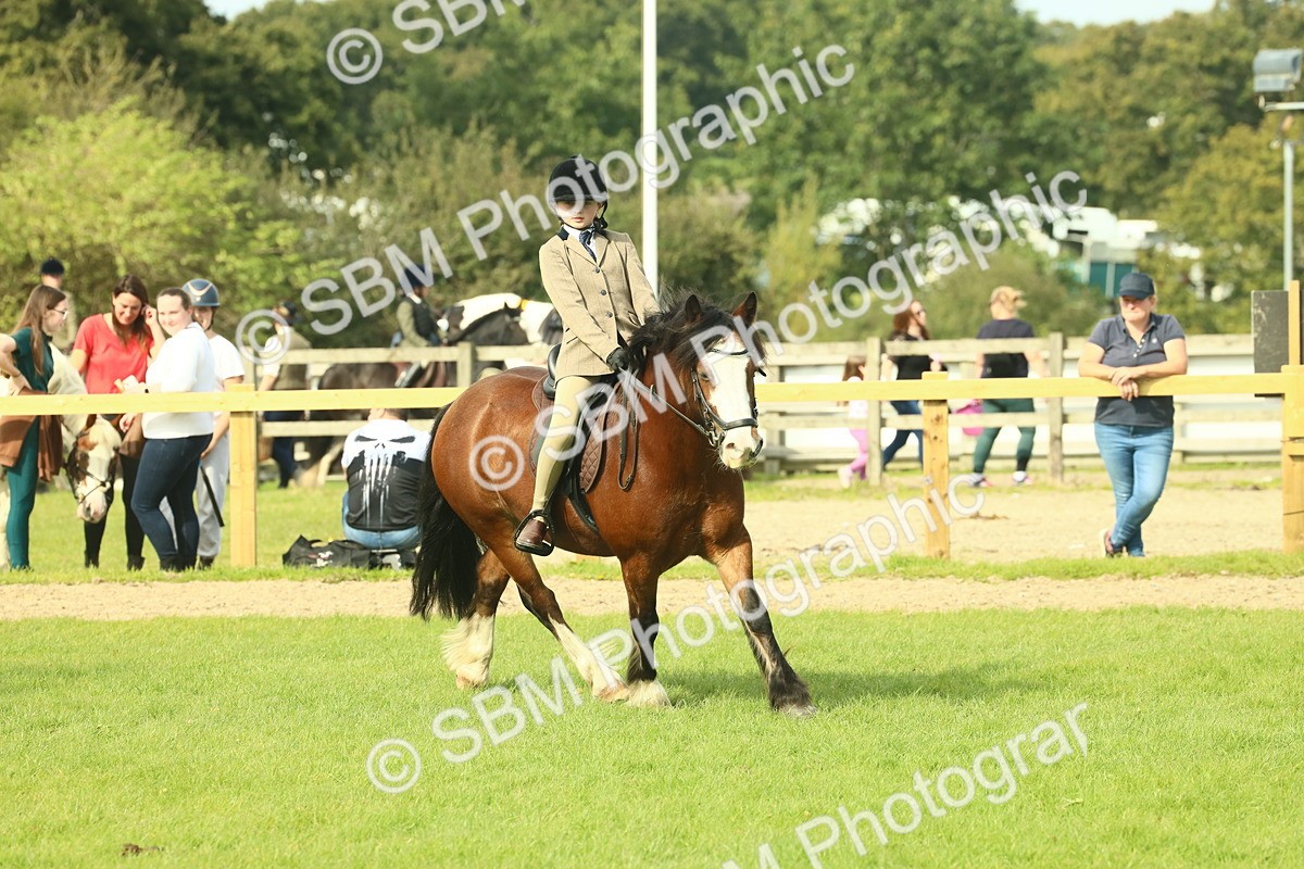 SBM_69066 - S58 - Mini Show Cob Ridden