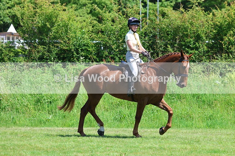 3E7A8044 - Working Hunter Championship