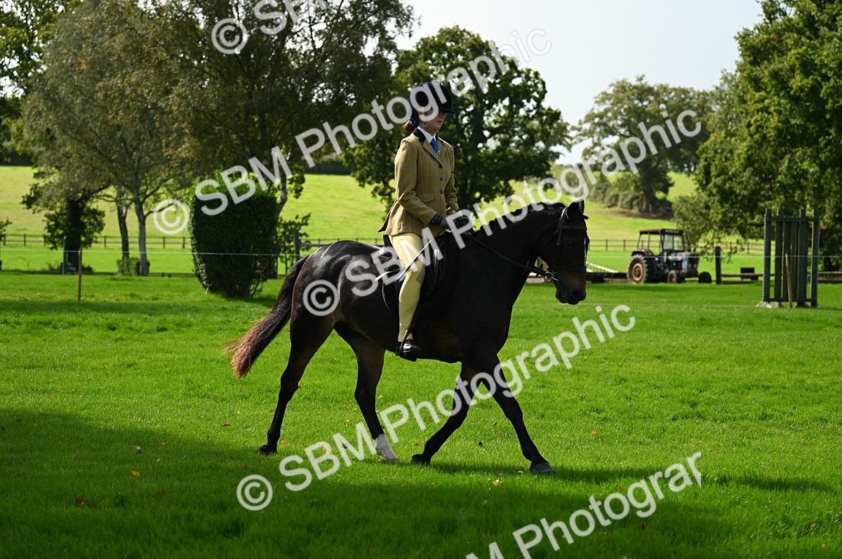 SBM_02718 - S3 - TSR Ridden Pony Showing