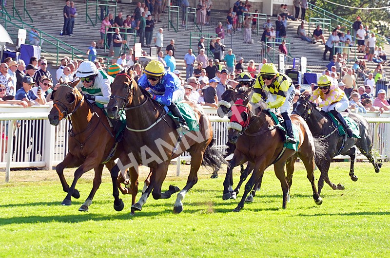 240726-Race 7-Sunlit Sea-01955 - Race 7 17.27pm Racing Excellence Apprentice Handicap