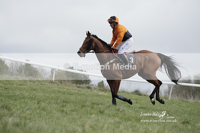PtP 260323 0666 - New Forest Hounds Point-to-Point Larkhill 26/03/23