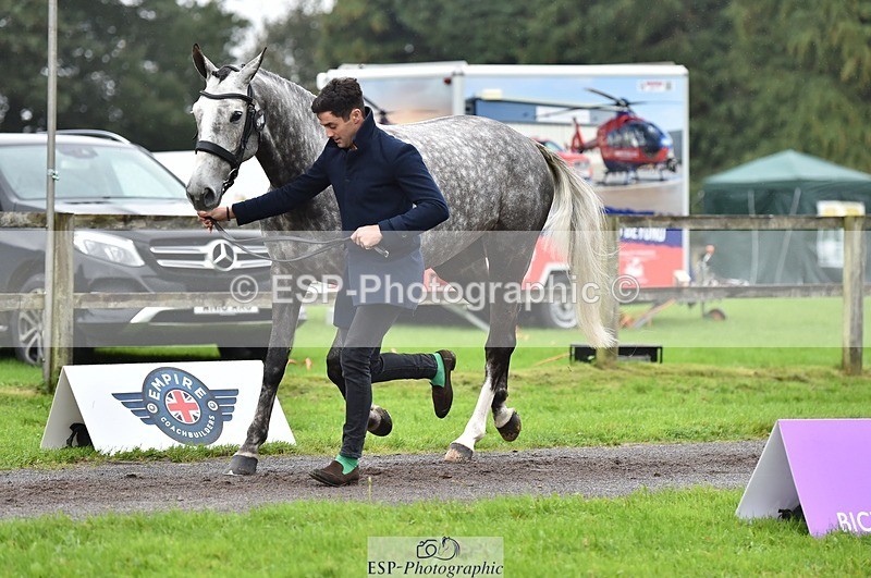 231018-122324-00252 - 032-COOLEY.ROCCO-Ben.Way-TrotUp