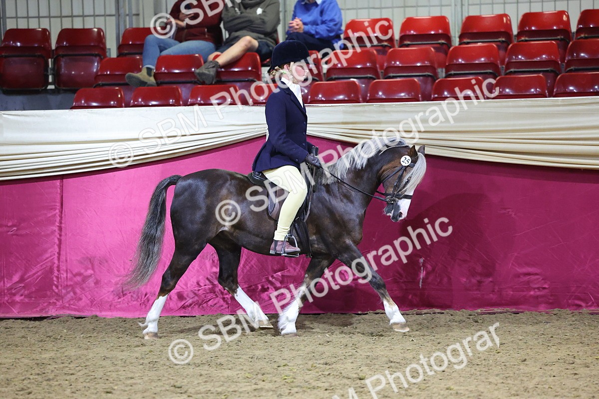0B8A4367 - Class N M&M Champ
