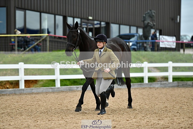 230416A-144455-05293 - Cls 64 Racehorse to Show Horse