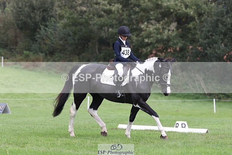 231019-135408-03808 - 438-KILCORBAN.MY.FAIR.LADY-Natasha.Crapper-DR