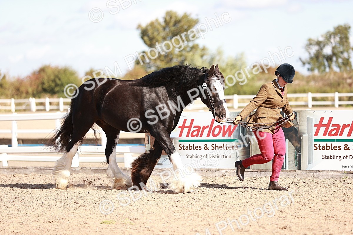 SBM_12582 - Class 404 - IH Traditional - Native Cob