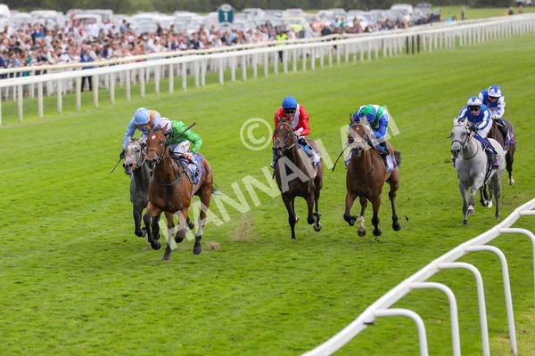 240824-Race 3-Breege-8963 - Race 3 3.00pm Sky Bet City Of York Stakes
