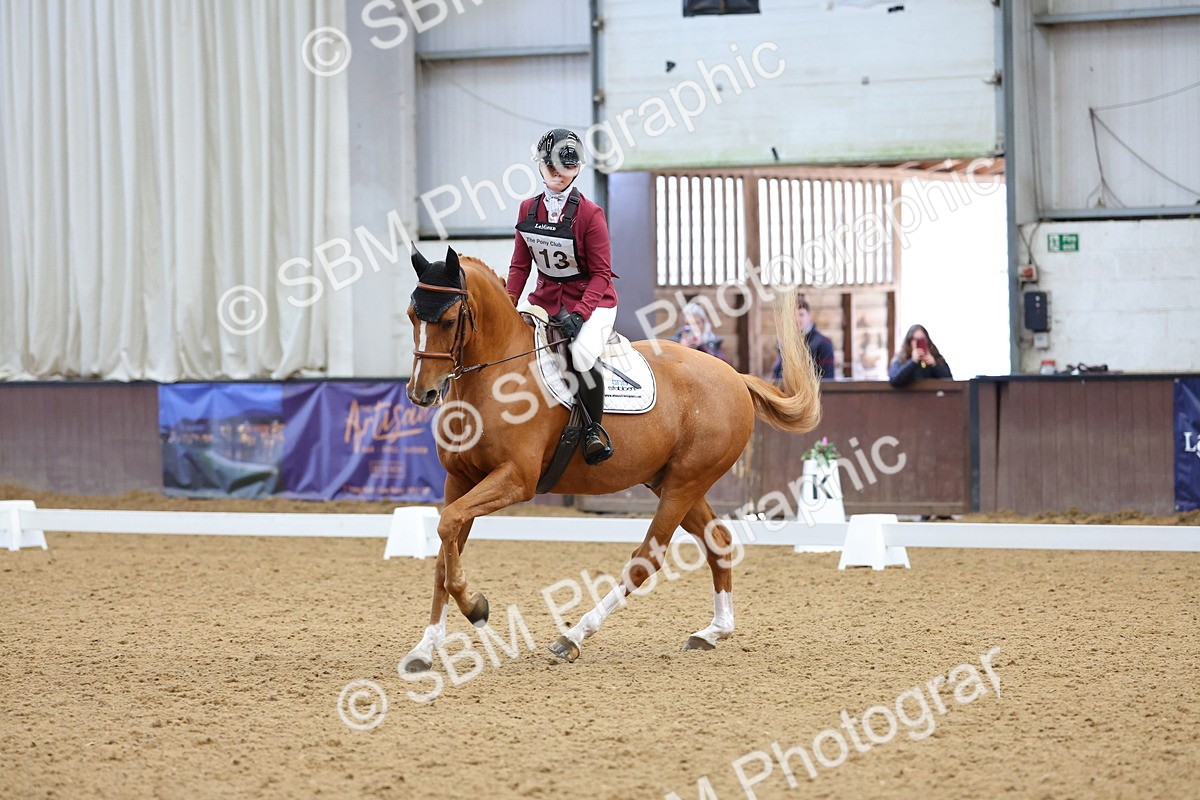 SBM_002641 - Novice