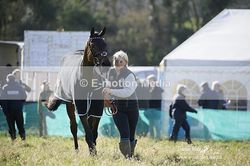 PtP 260222 285 - Kingston Blount Racing Club Point-to-Point 26/02/22