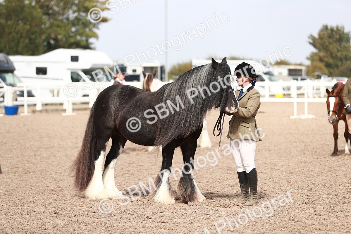 SBM_13919 - Class 209 IH Veteran Pony