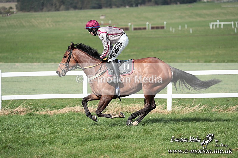 PtP 230324 538 - Tedworth Hunt PtP Larkhill Raccourse 23rd March 2024