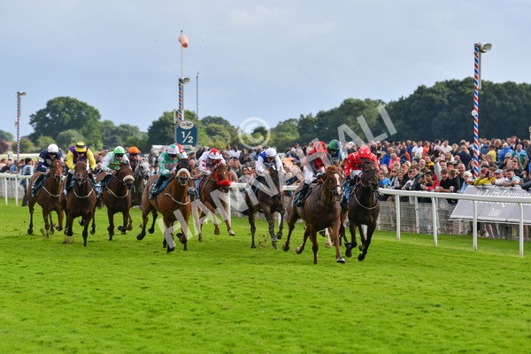 150723-Race 7-Roundhay Park-8883 - Race 7 5.30 pm John Smith's Sprint Handicap