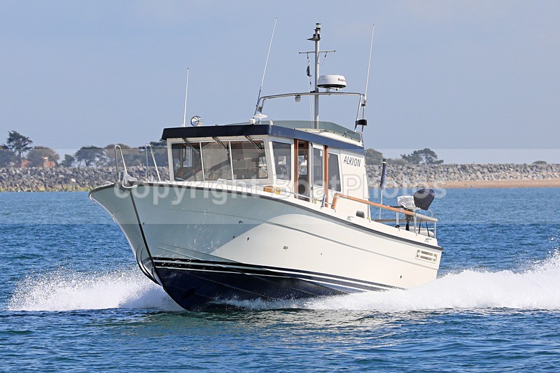 170902 ALKION - TARGA 33 1Y3A9033 - Motorboats - Hardtop