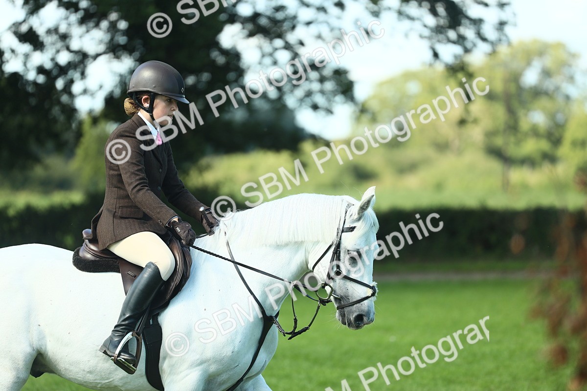 SBM_39213 - S29 - Novice & Newcomers Working Hunter Pony