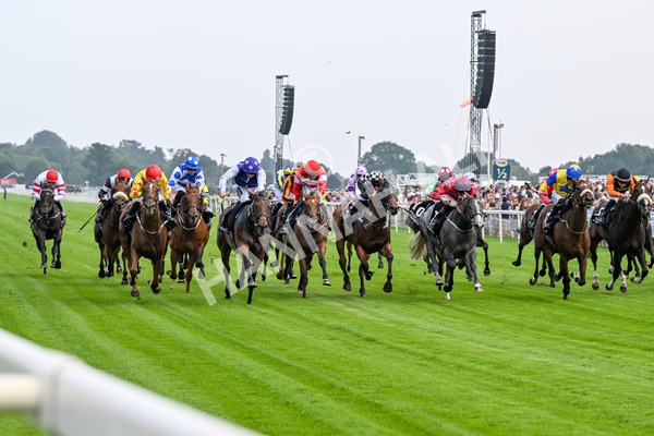 250725-Race 1-Pressures On - Quest For Fun-0203 - Race 1 5.30pm eventmasters.co.uk Handicap