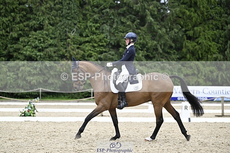 240523-145231-05125 - 442-FERNHILL_ZORO-Cassie_Sanger