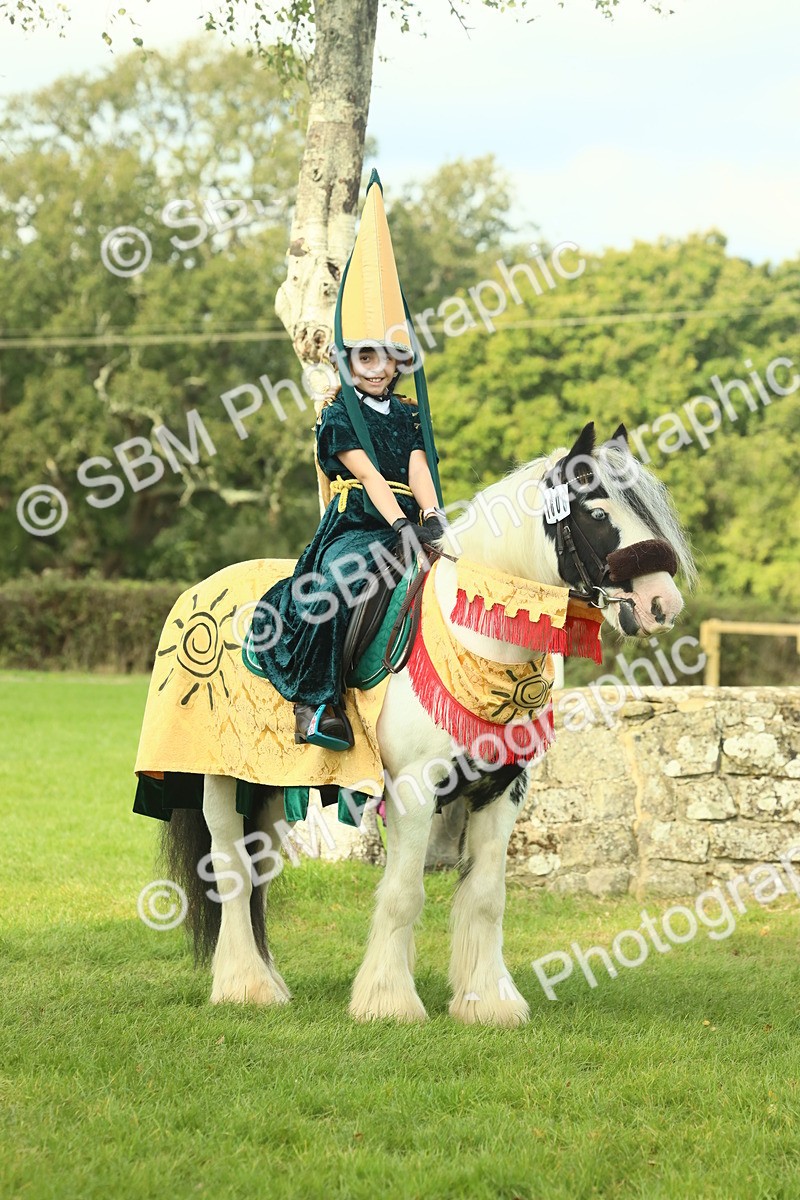 SBM_63536 - S35 - Fancy Dress Showing