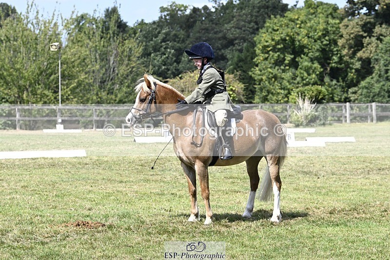 250822A-125204-21952 - DR 12.00 to End