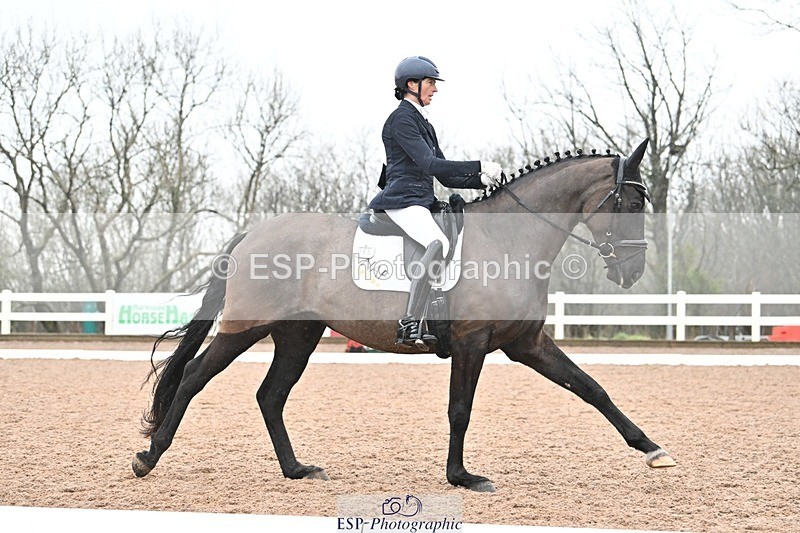 250215-133258-03888 - 165-Elder.Klatzko-Dynasty.Hit