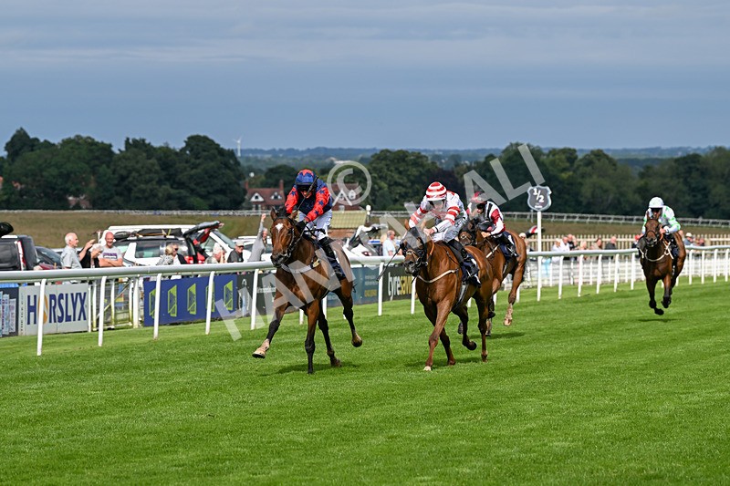 160724-Race 5-Believitanducan-9221 - Race 5