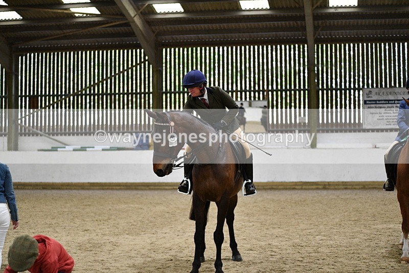 WJ5_8071 - Class 13 Ridden Part Breed