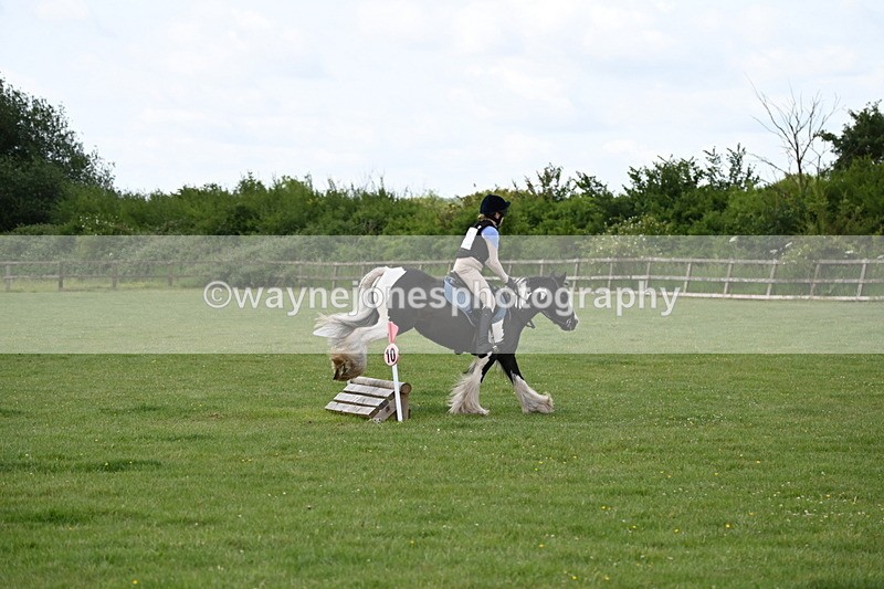 WJ6_2716 - Class 2 40cm