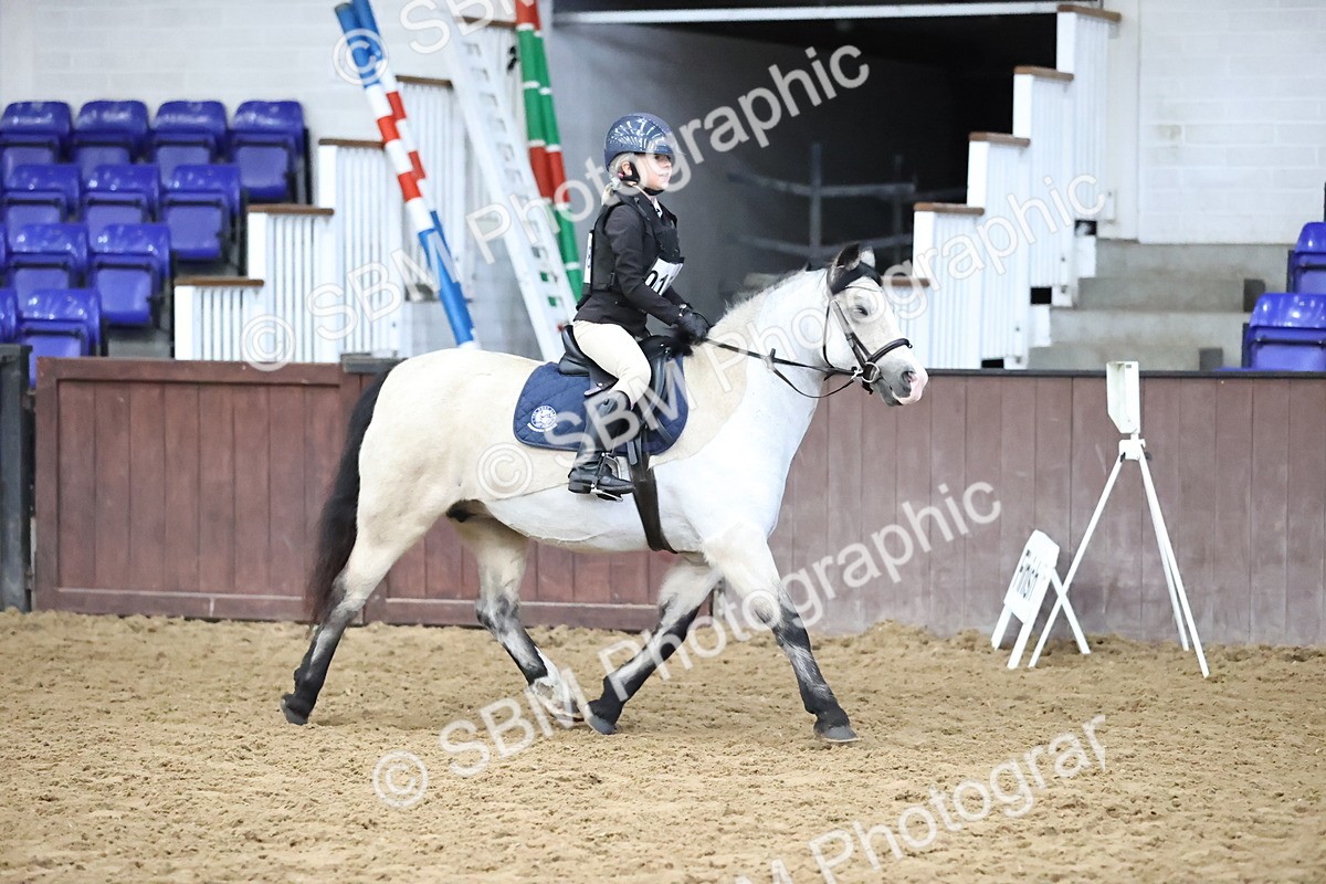 SBM_000257 - Class 2 - The Rug Lady 40cm Area 12 Championship Qualifier