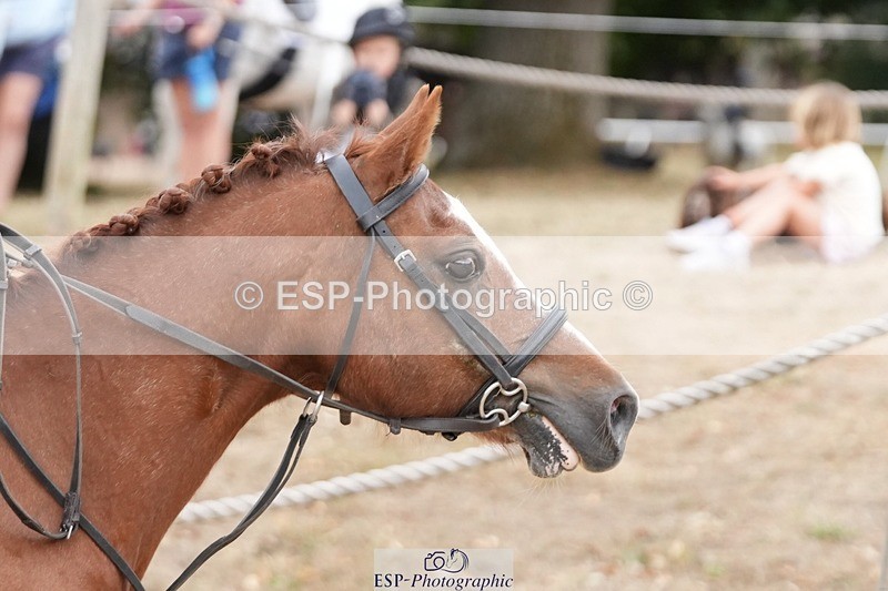 250820A-124852-05877 - Round 2, Start to 13.45 Break