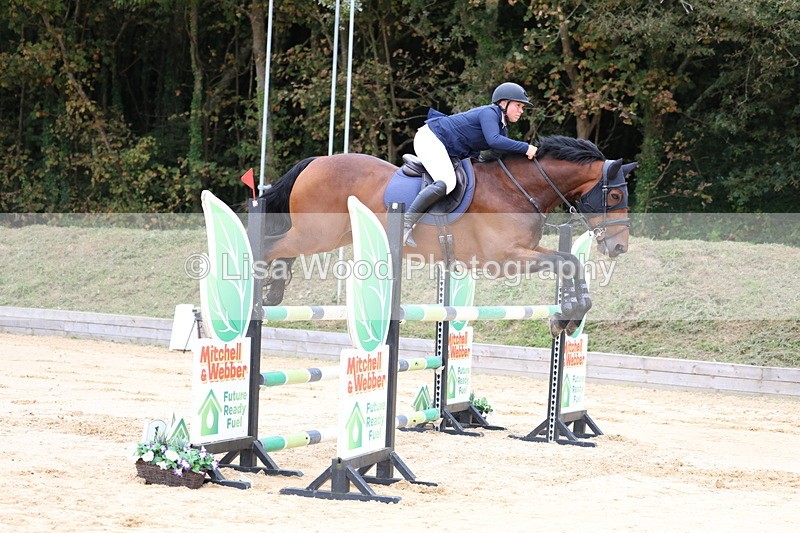 3E7A3434 - Class 9: Senior Foxhunter/1.20 open