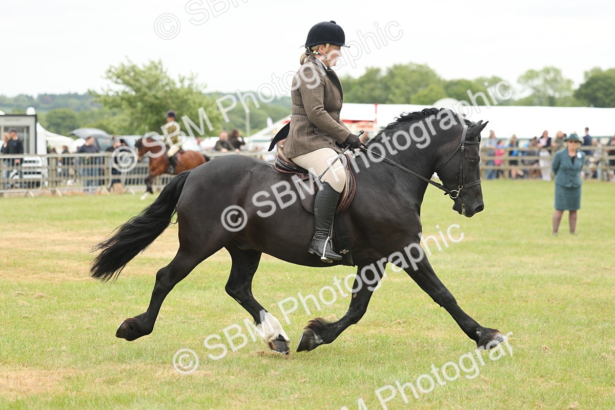 SBM_07202 - Class 76-77 - Ridden M&M Welsh Ponies