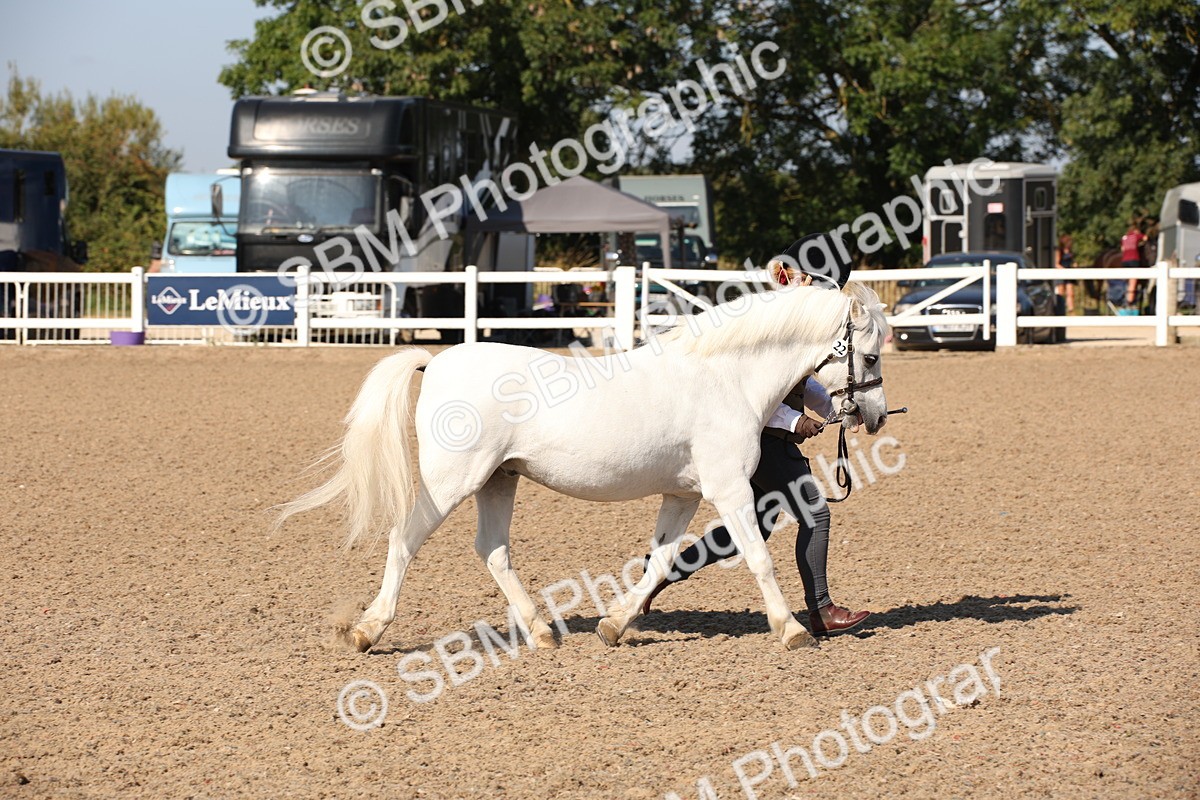 SBM_02724 - Class 16 IH M&M Wildcard