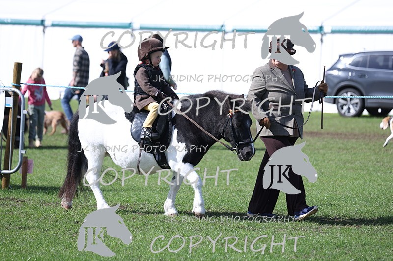 APP_3794 - Class 13 Lead rein