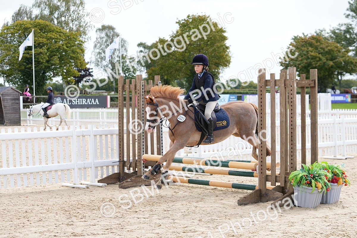 SBM_40740 - Supreme Championship Pony 50-55cm