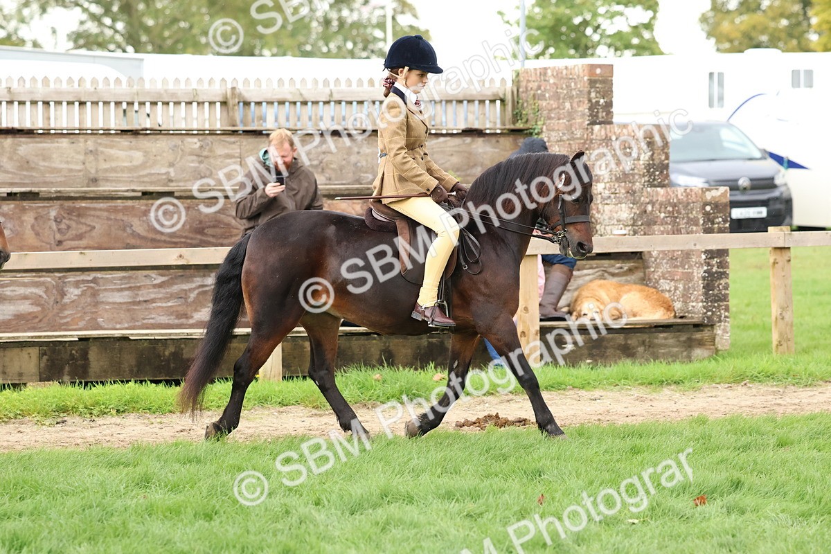 SBM_44955 - S27 - Young Veteran Ridden