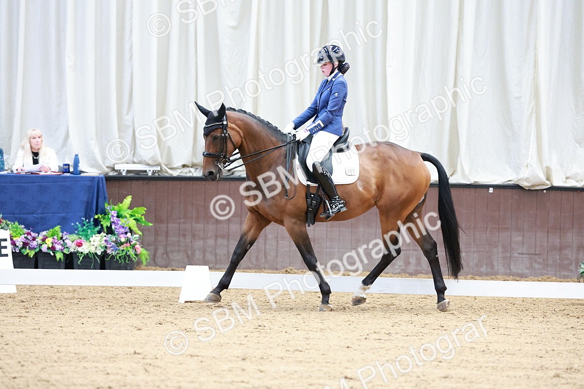 SBM_017878 - Class 15 - FEI Junior