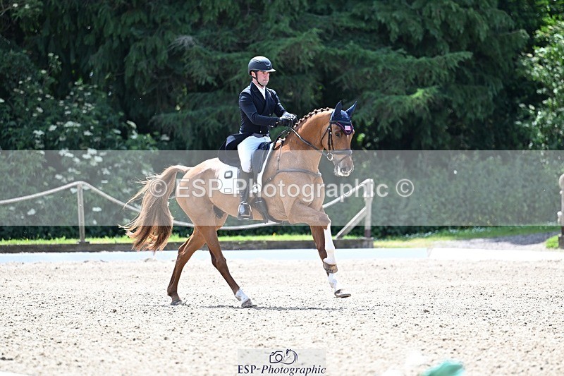 260529A-134214-10498 - G-773-Tommy.Greengard